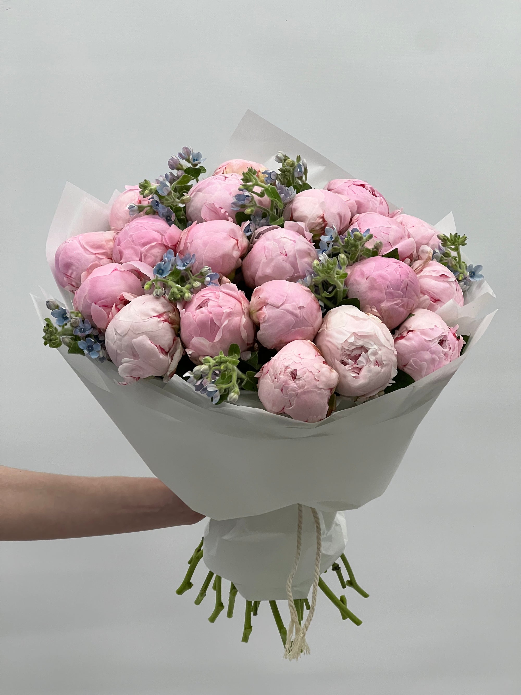 Bouquet de pivoines roses "Éclipse"