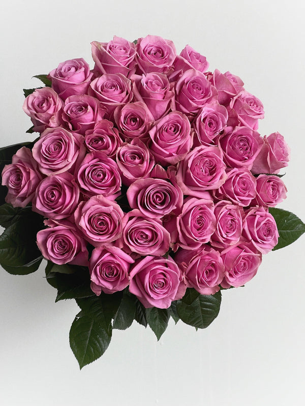 A bouquet of purple roses "Lulu"  