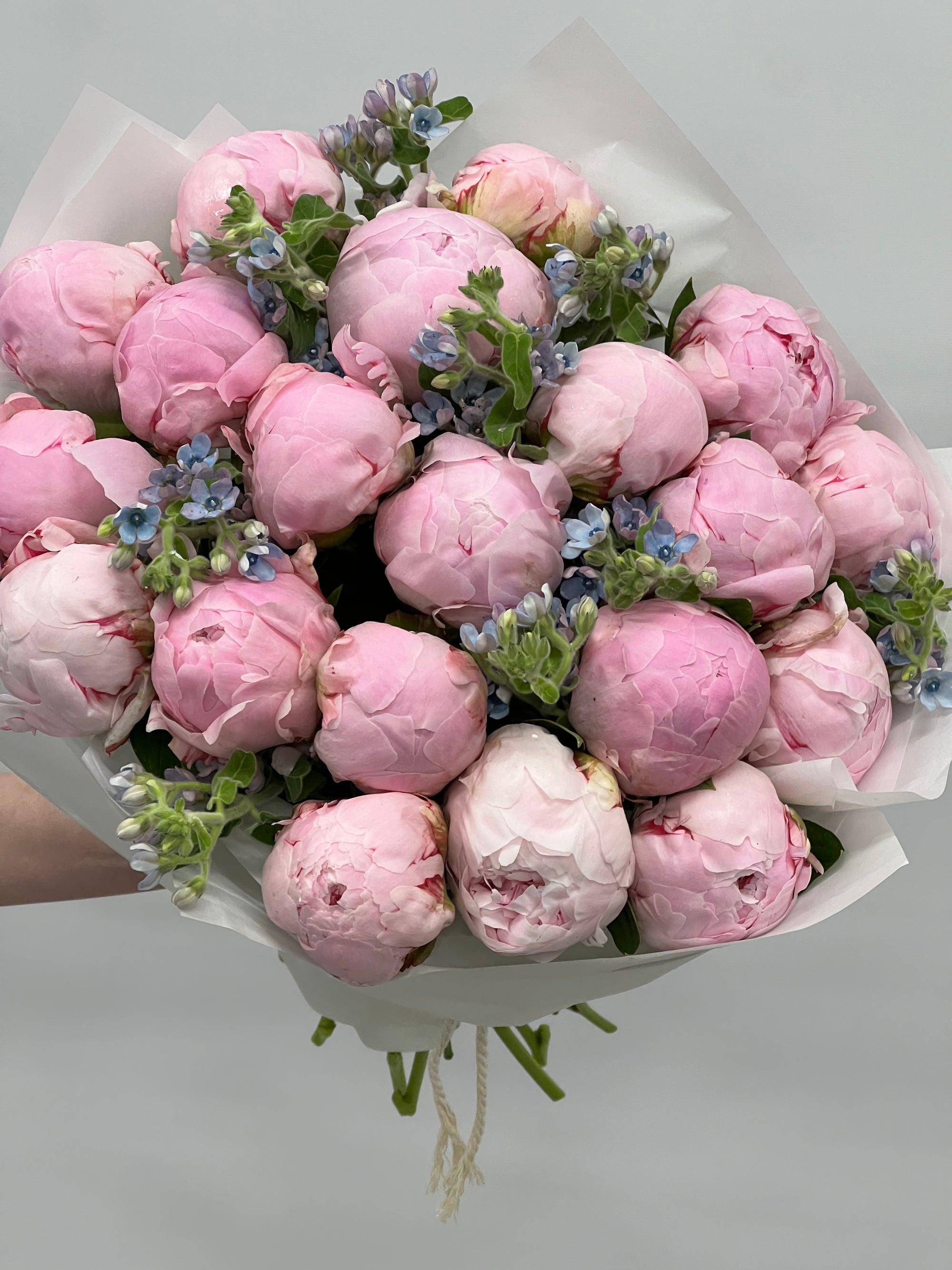 Bouquet de pivoines roses "Éclipse"