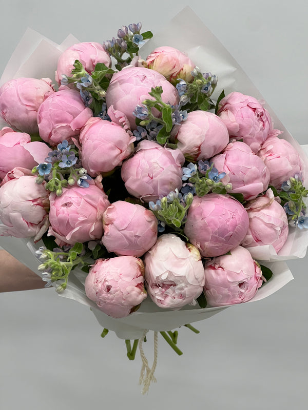Bouquet de pivoines roses "Éclipse"