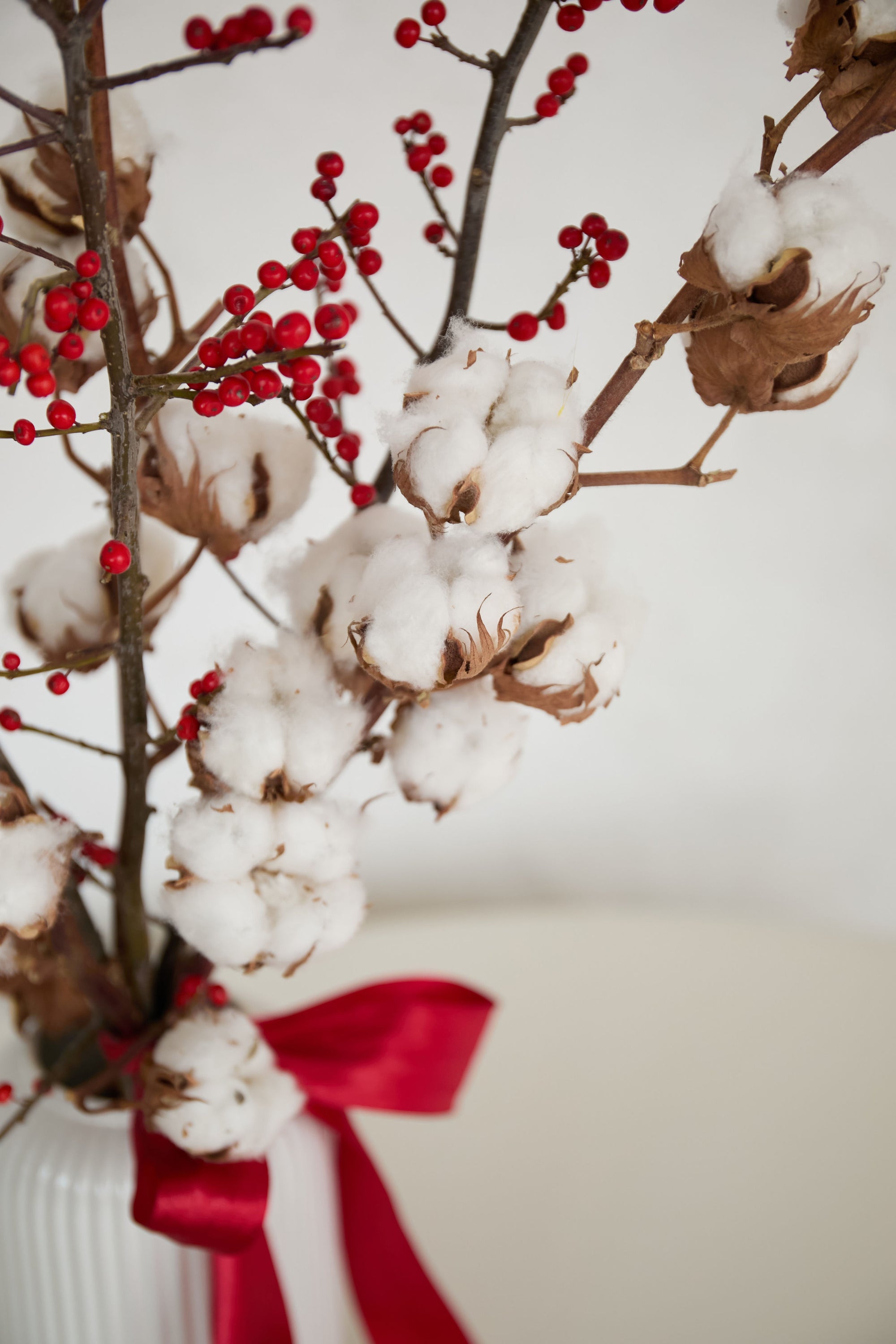 Snow-Kissed Berries